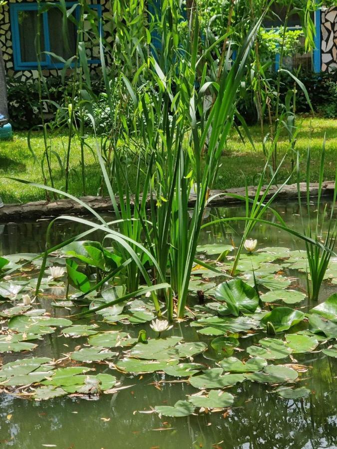 Pensiunea Iubire De Delta " La Traian " Murighiol Dış mekan fotoğraf