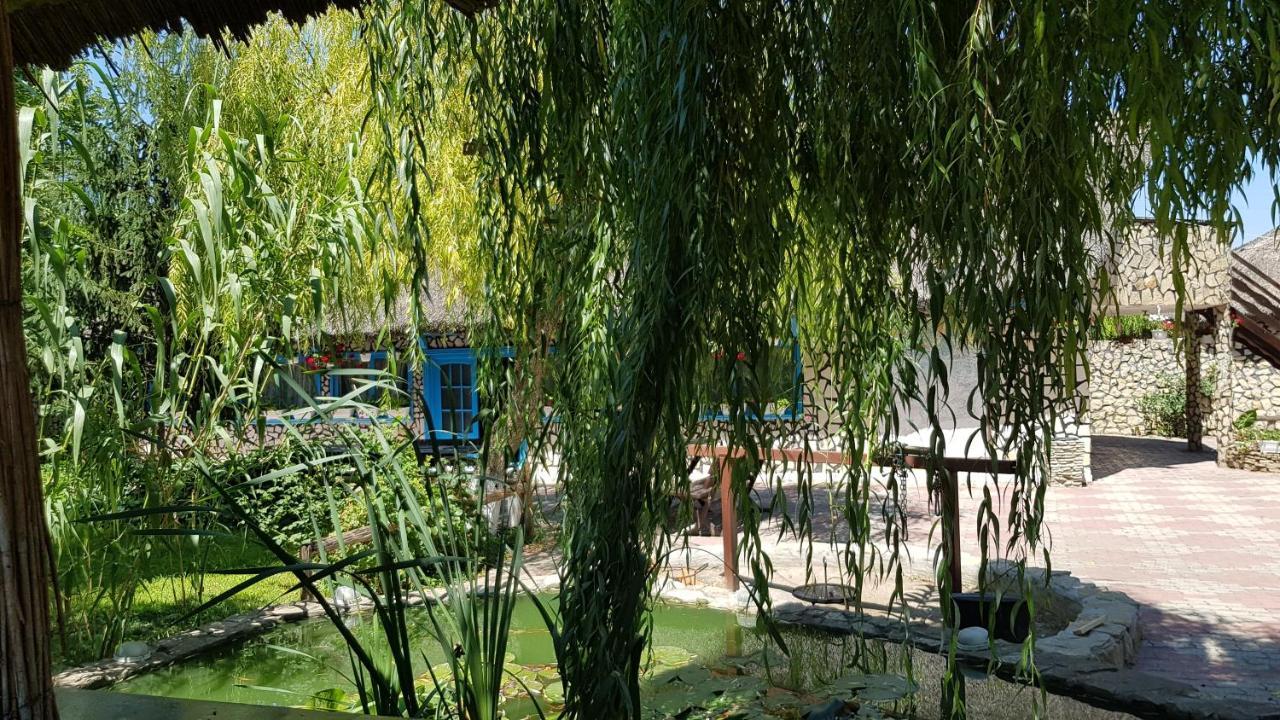 Pensiunea Iubire De Delta " La Traian " Murighiol Dış mekan fotoğraf